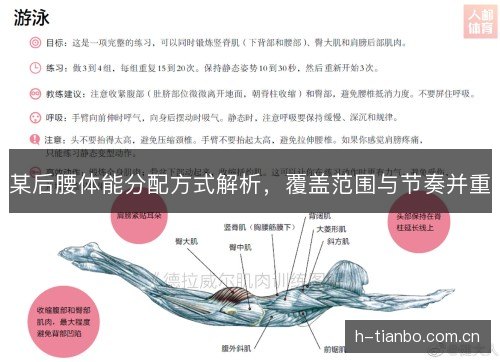 某后腰体能分配方式解析,覆盖范围与节奏并重 某后腰体能分配方式解析,覆盖范围与节奏并重